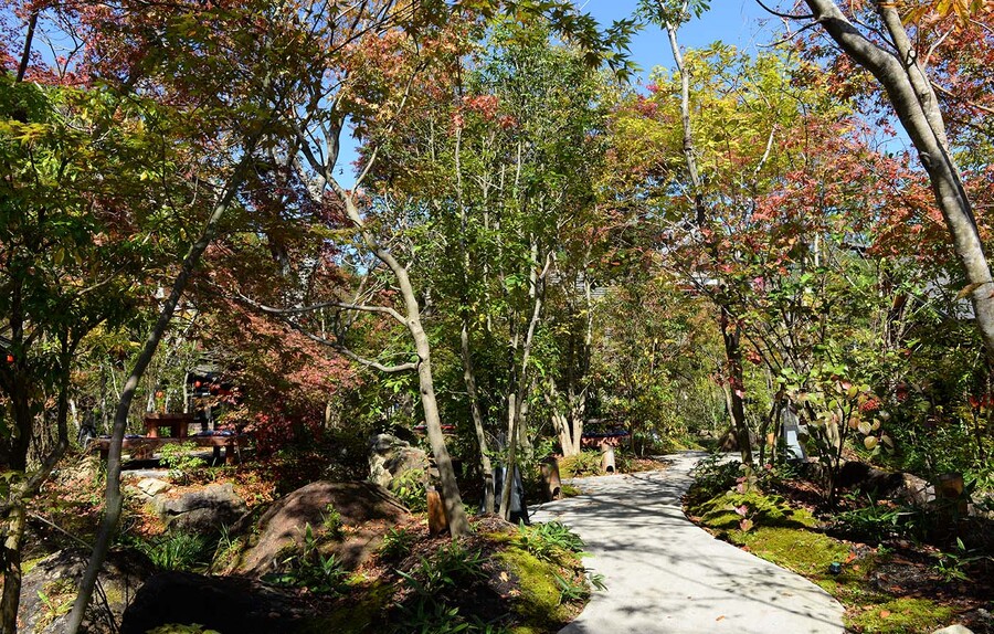 一燈銭_屋外席(Ittousen_Outdoor seats)