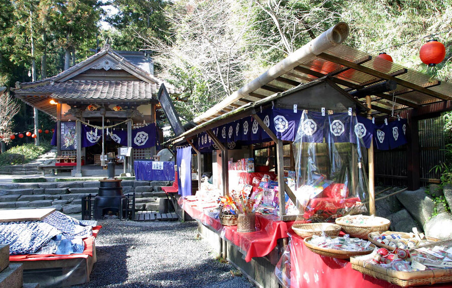 いろり山賊_庭の奥(Sanzoku_end of the garden)
