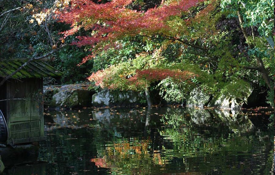 竈_池(Kamado_pond)