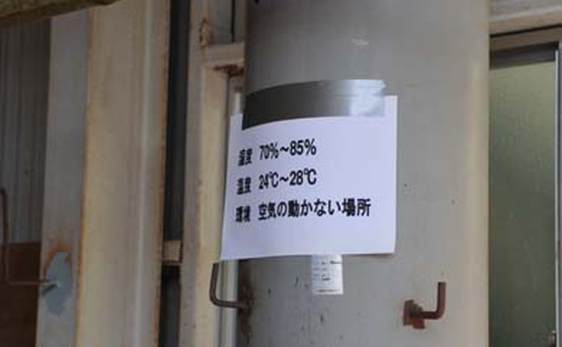 漆