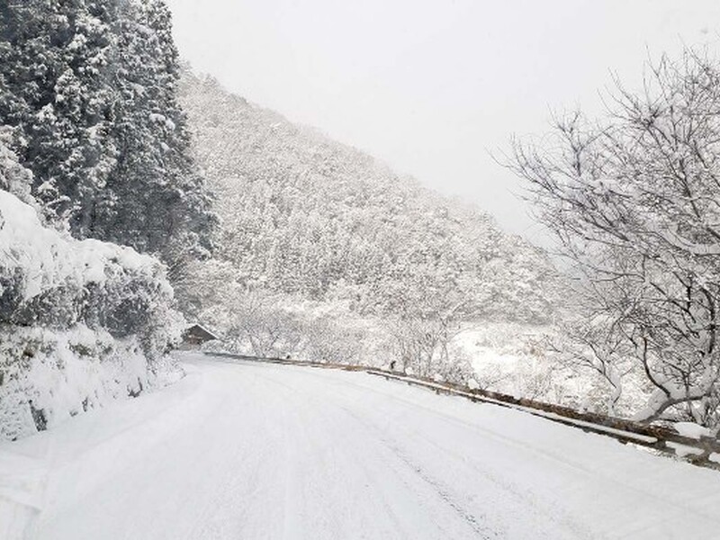 錦店_大雪