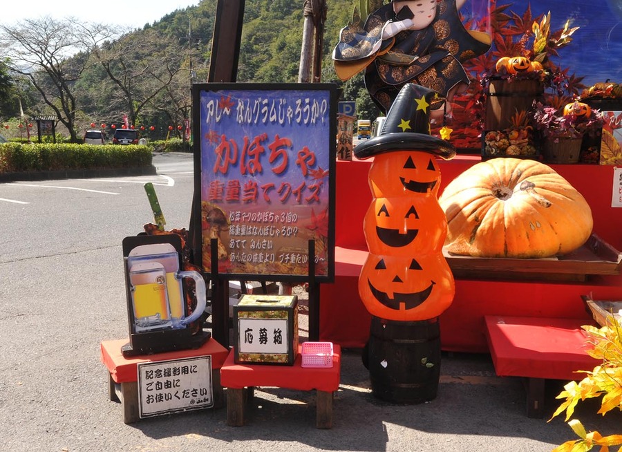 かぼちゃ重量当てクイズ