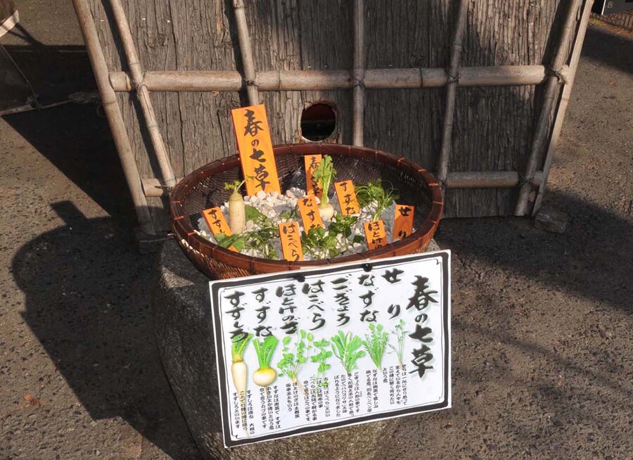 春の七草