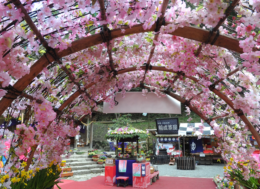 山賊花祭り